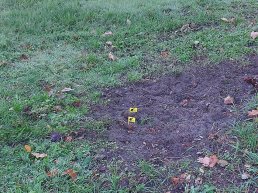 Bewoners vragen aandacht voor hondenpoep rond vijver