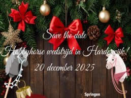Hobby Horse Wedstrijd Manege Rantrime in Hierden
