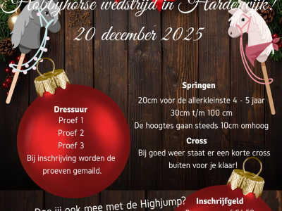 Hobby Horse Wedstrijd Manege Rantrime in Hierden