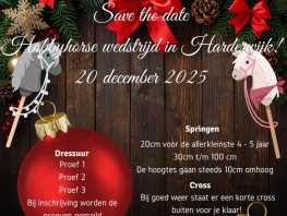 Hobby Horse Wedstrijd Manege Rantrime in Hierden