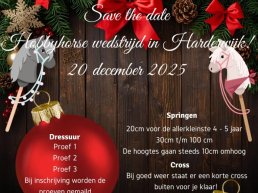 Hobby Horse Wedstrijd Manege Rantrime in Hierden