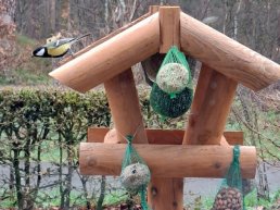 Familieberichten: Hendrik Verhoef overleden