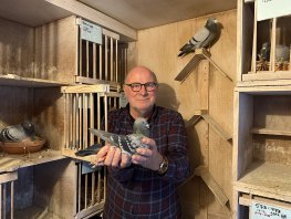 Cor den Ouden met duif Olympic Queen Max naar Olympiade: “Een treffer”