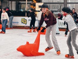 Van den Brink Onroerend Goed stopt als hoofdsponsor schoolschaatsen in Ermelo ‘Als de politiek zich ermee bemoeit, is het ons ding niet meer’