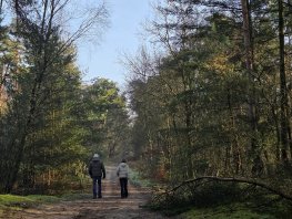 Veluwse Wandeldagen – 19, 20 en 21 februari 2026