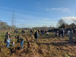Ouders planten geboortebomen in het geboortebos