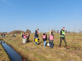Scholieren planten 150 bomen op 4 maart tijdens boomfeestdag