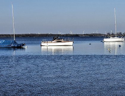Langs de strandjes tussen de rietkragen