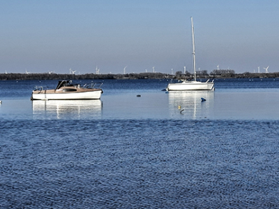 Langs de strandjes tussen de rietkragen