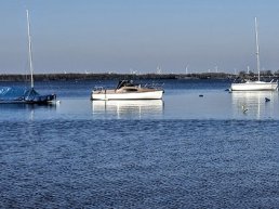 Langs de strandjes tussen de rietkragen