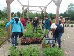 Plantjesmarkt Groei & Bloei bij de Rietmeen in Harderwijk op 16 mei 2026
