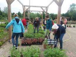 Plantjesmarkt Groei & Bloei bij de Rietmeen in Harderwijk op 16 mei 2026