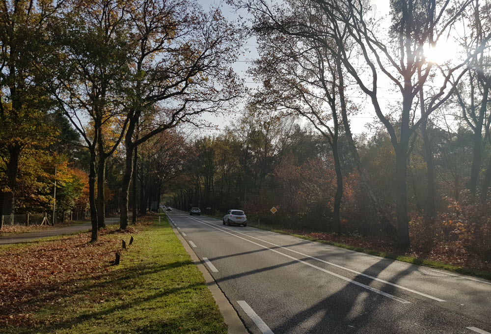 Wegwerkzaamheden N302 Harderwijk - Ermelo