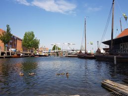 Zwemmen en springen in de haven is gevaarlijk