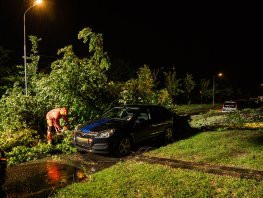 Boom waait om tijdens storm en beschadigt geparkeerde auto in Harderwijk