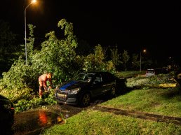 Boom waait om tijdens storm en beschadigt geparkeerde auto in Harderwijk