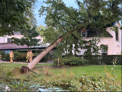 Grote boom valt op Kasteel Staverden in Ermelo