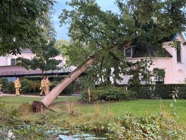 Grote boom valt op Kasteel Staverden in Ermelo