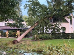 Grote boom valt op Kasteel Staverden in Ermelo