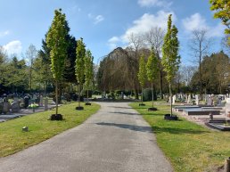 Open dag begraafplaats Oostergaarde