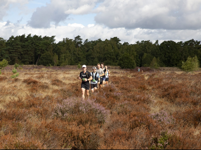 Volop genieten tijdens de Veluwse TrailRun 2026