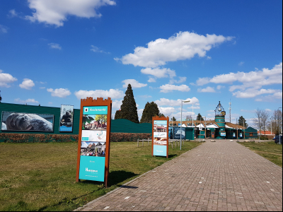 Dolfinarium wil grond onder het park kopen: “Er zal een zeedierenpark blijven staan”