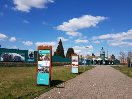 Dolfinarium wil grond onder het park kopen: “Er zal een zeedierenpark blijven staan”