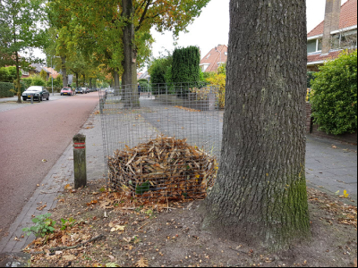 De bladkorven staan er straks weer