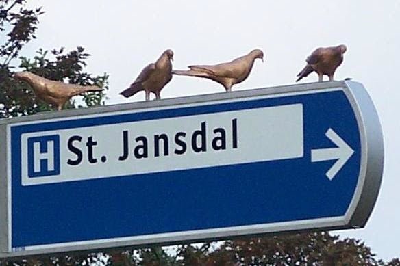 Duiven van St. Jansdal