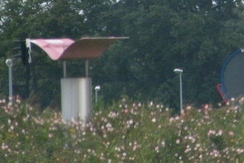 Vlinders op de rotondes rond Drielanden